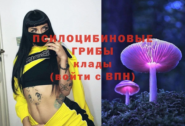 ALPHA PVP Богородск