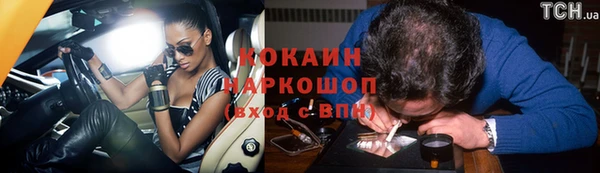 шишки Бородино