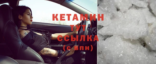 шишки Бородино