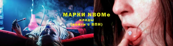 прущие грибы Бугульма
