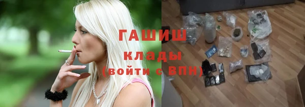 шишки Бородино