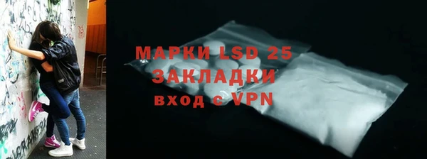 шишки Бородино