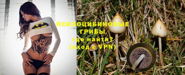 прущие грибы Бугульма