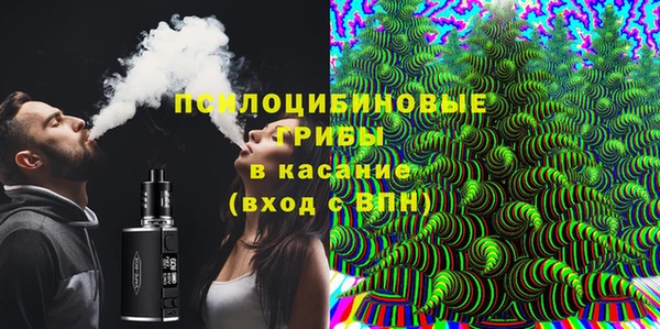 шишки Бородино