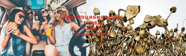 прущие грибы Бугульма