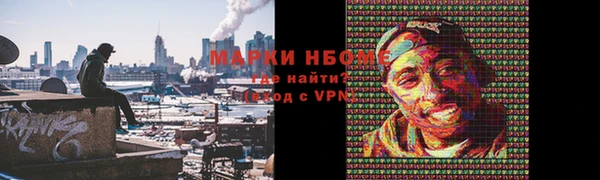 шишки Бородино