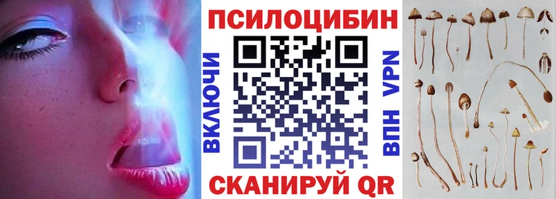 Купить закладки  Богучар  Псилоцибиновые грибы Magic Shrooms 